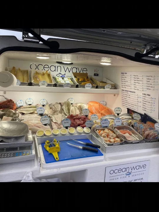 Fresh Fish 2