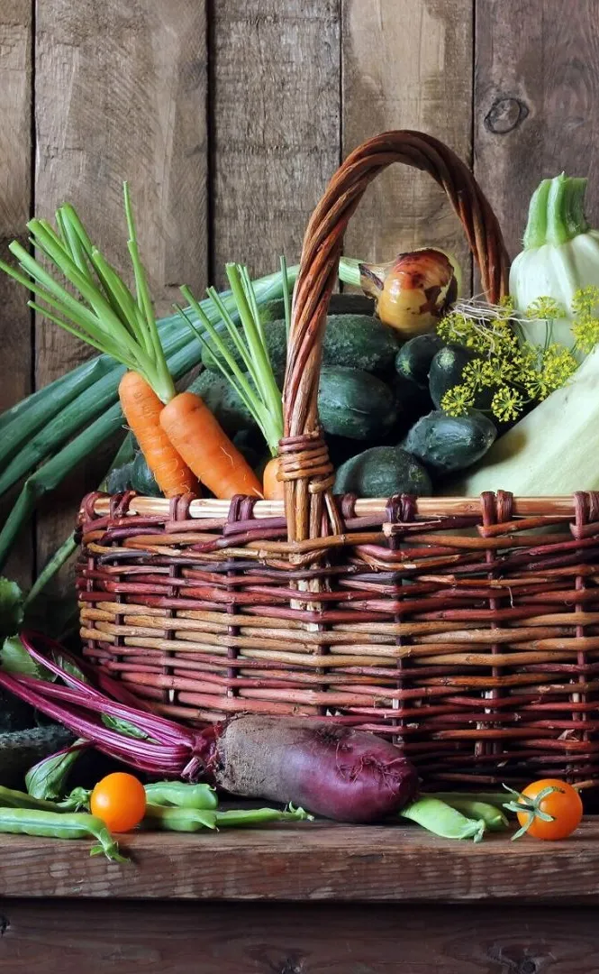 A basket of freshly harvested vegetables from a local grower