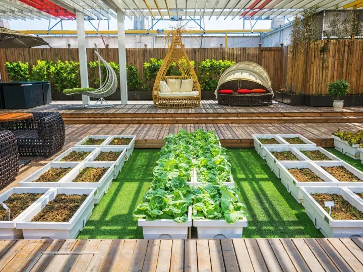 Garden with artificial grass, white raised vegetable beds and a timber deck with seating