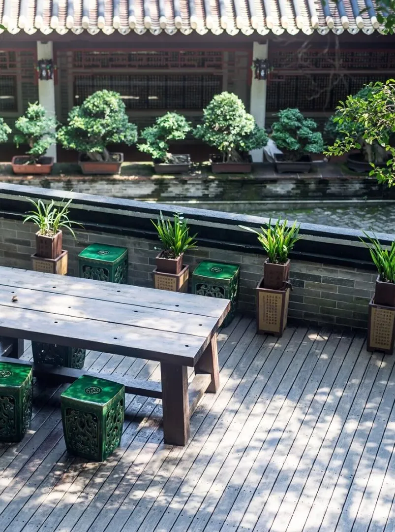 Tranquil space with plants