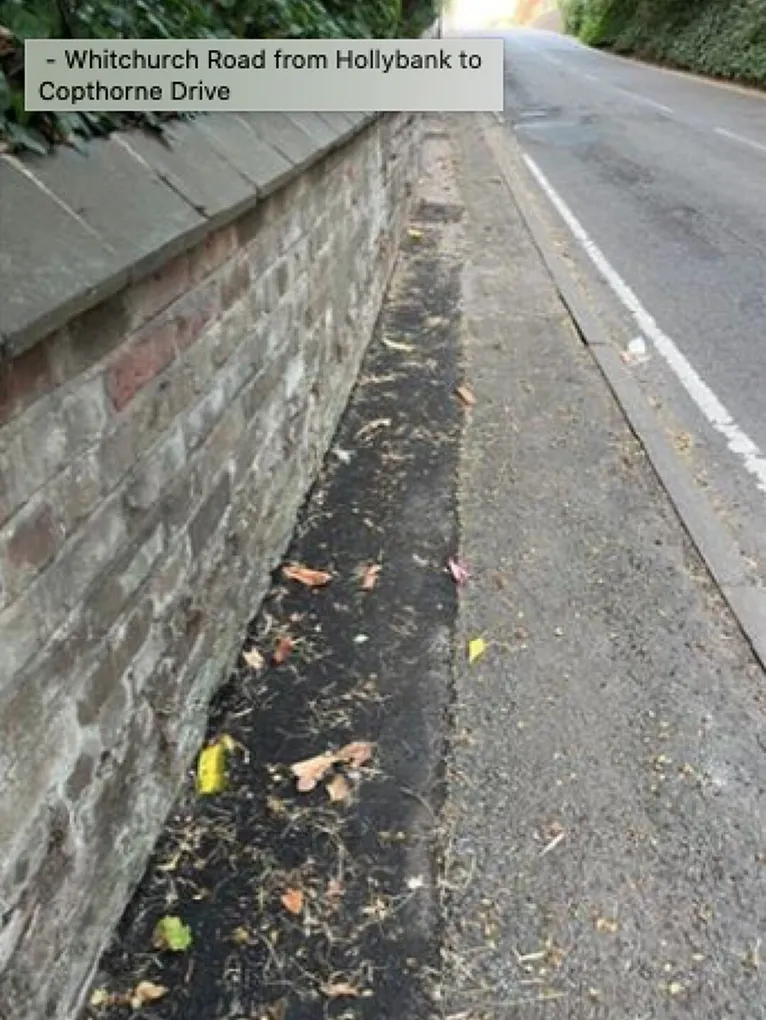 Whitchurch Road from Hollybank