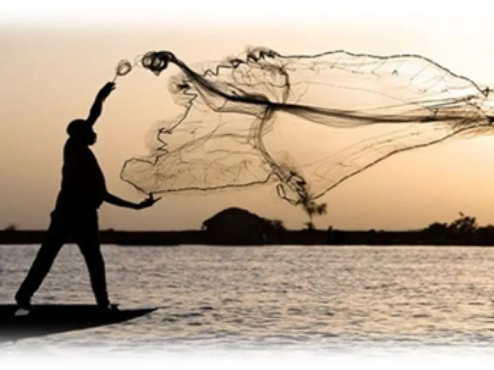Casting The Net 1