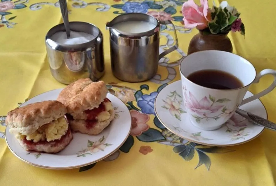 Cream Tea Peninsula Crop