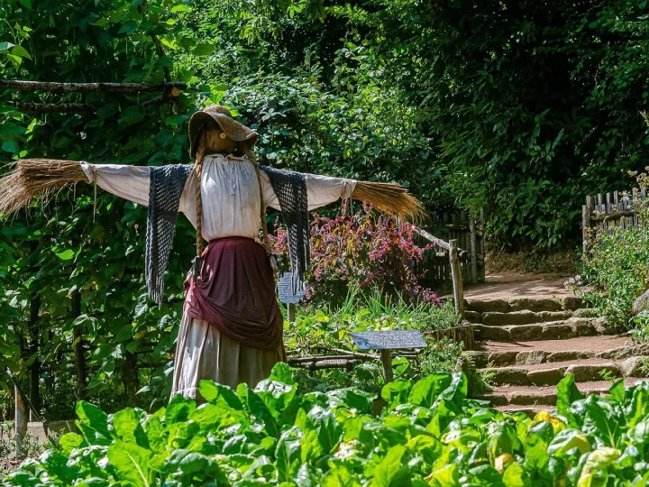 A straw scarecrow in a hat watching over a vegetable garden