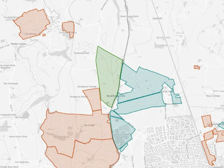 Ce Plan Consultation