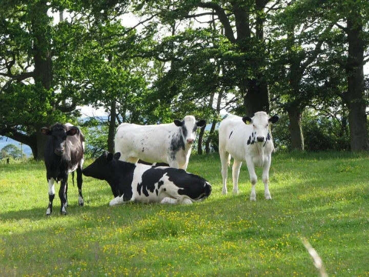 Sponsors Feature &ndash; Trinity Agtech