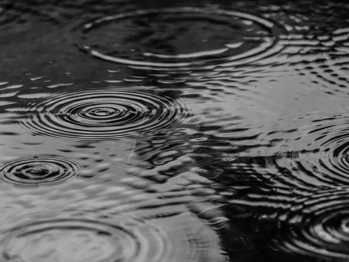 Puddle, nature, water, rain, splash, monochrome