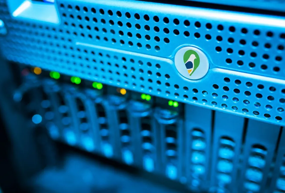 A rack-mounted web server carrying the Parish Council Pigeon logo, representing secure UK hosting