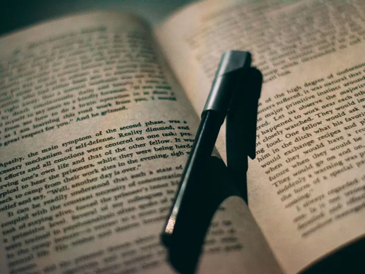 Close-up of a ballpoint pen resting between the