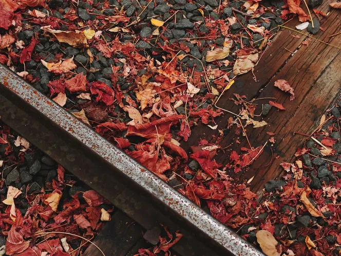Red and brown autumn leaves lying across a rusty railway line
