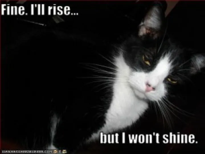 rise-and-shine