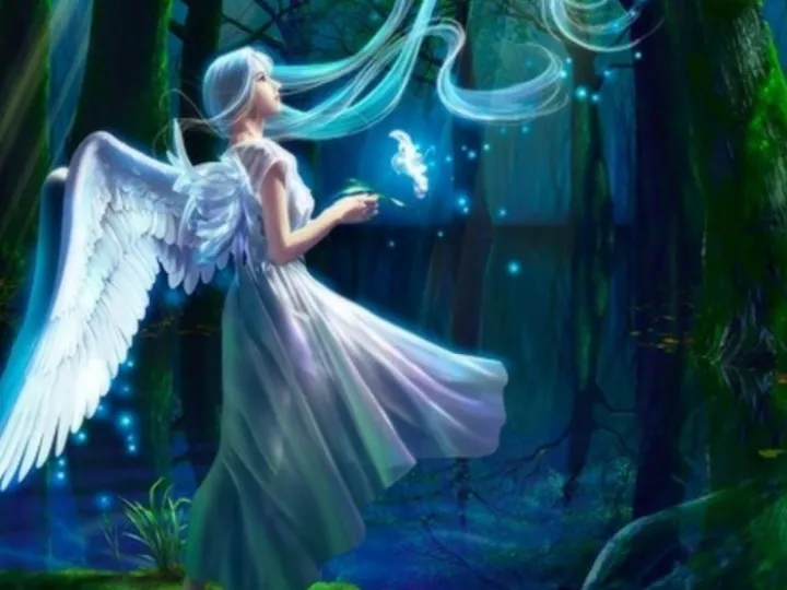 fairy