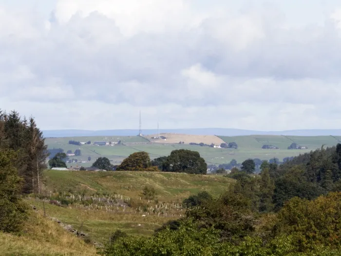 Allendale