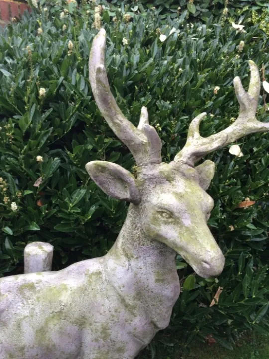 Stag (1)