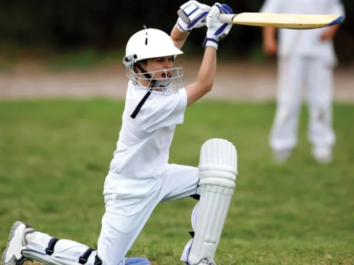 Cricket Image 02