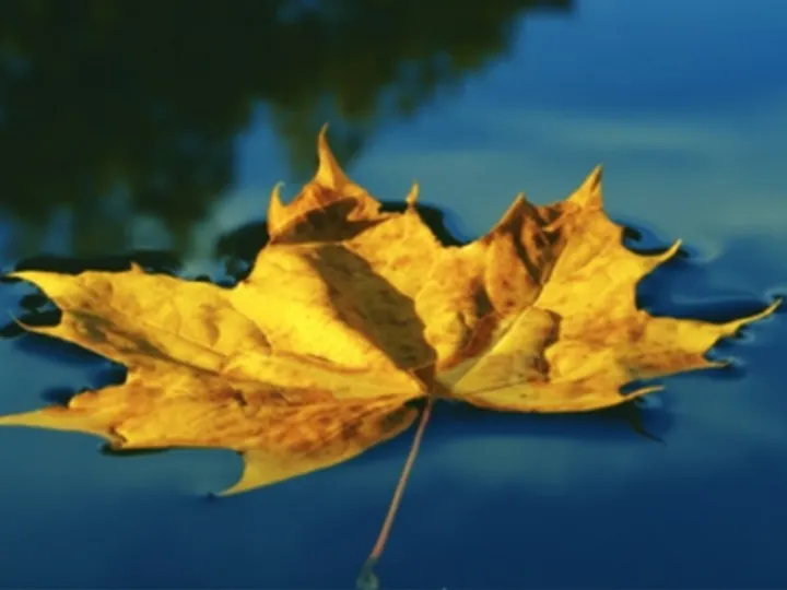 Mindfulness 06
