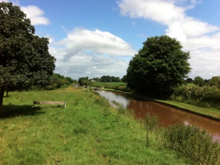 June Walk