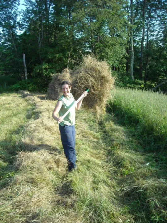 Haystack 03