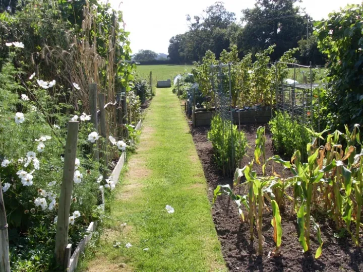 Allotment2