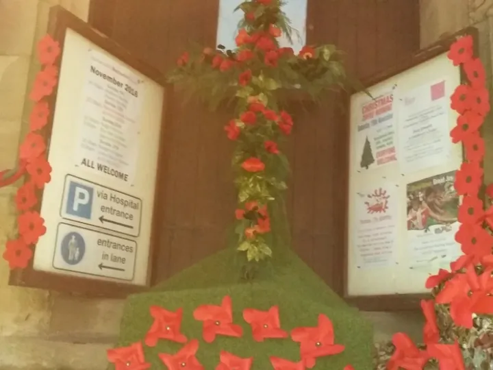 Poppies 4