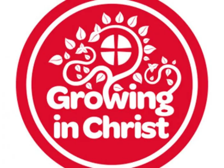 Circuit Logo red on white square