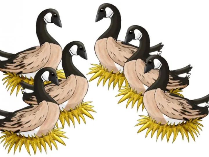 six_geese_a_laying