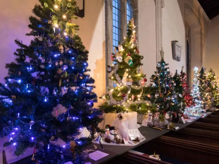 Christmas Trees 02