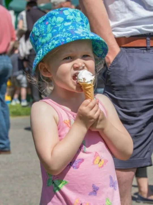 Haddenham Fete 29