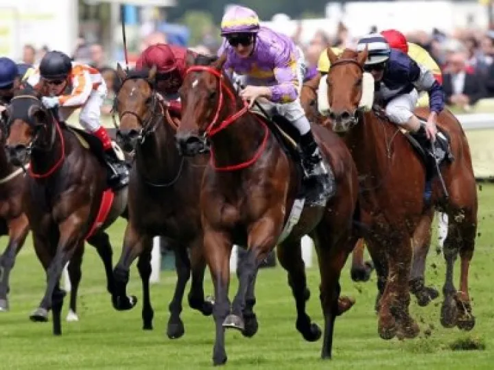 ascot 03