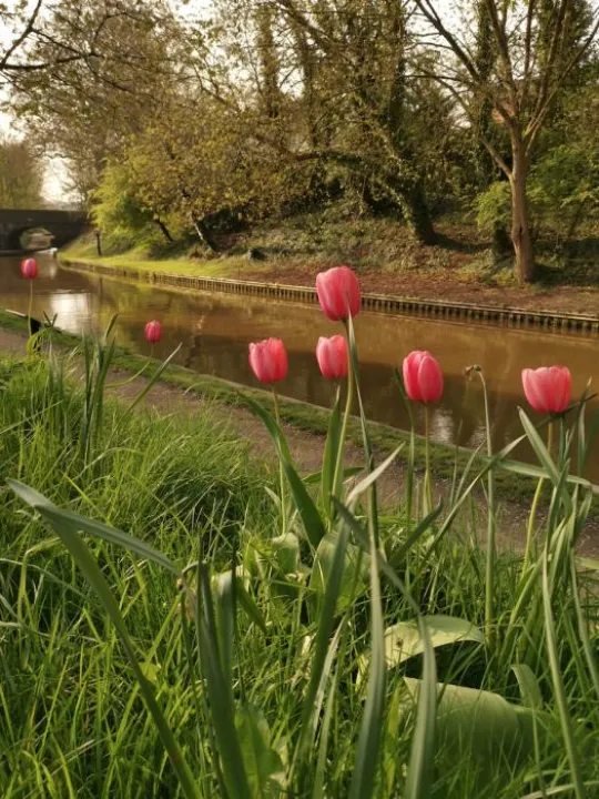 Canal Scenes