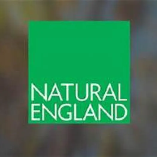 small natural england