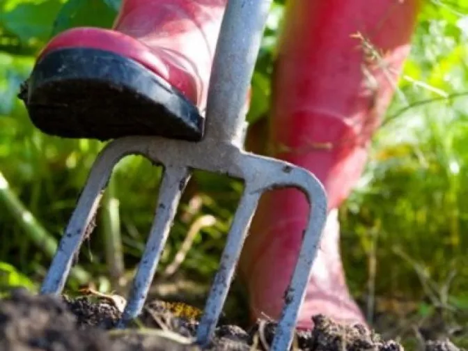 gardenfork