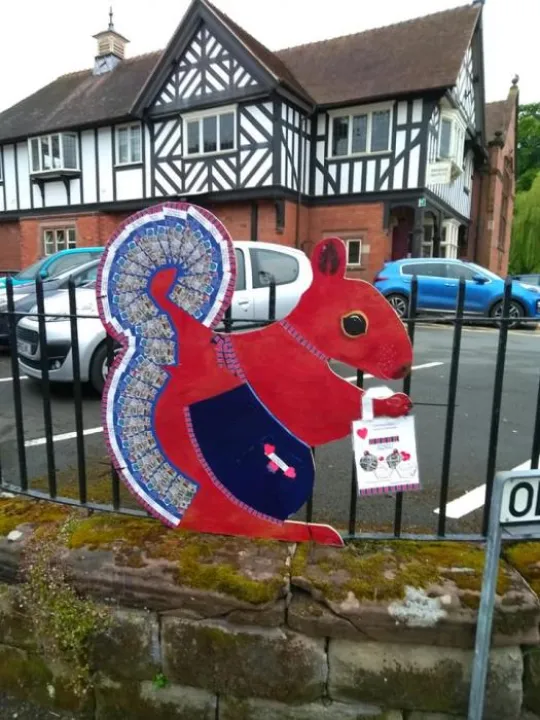 squirrels