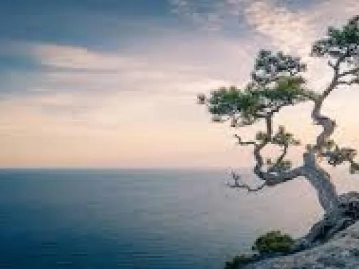 Meditation