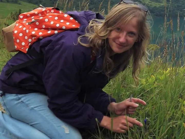 Image: 7528376_orig