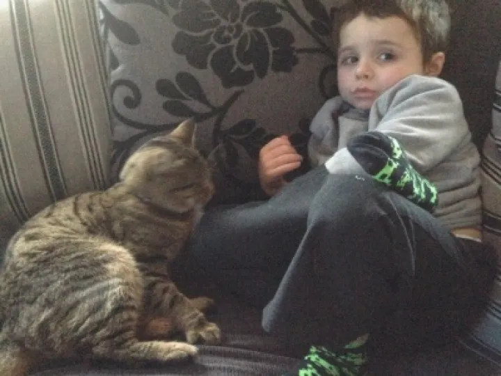 Rex the Cat 1