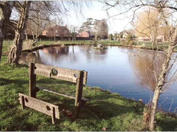 Hankelow Pond