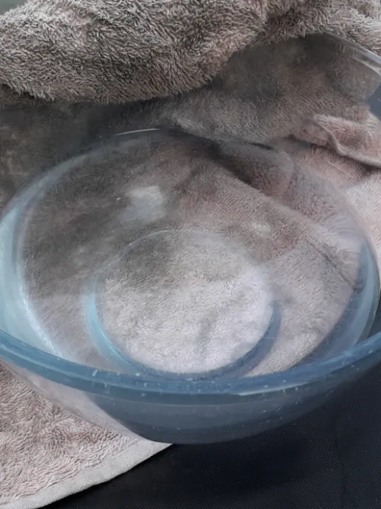 Towel & Bowl