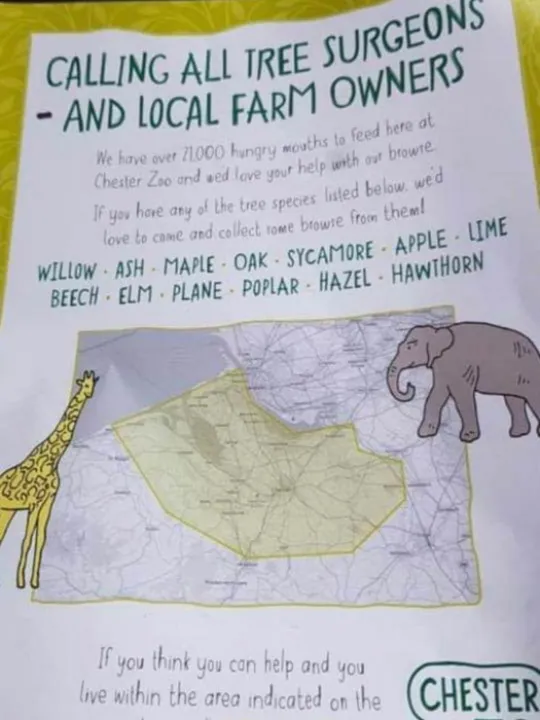 zoo poster