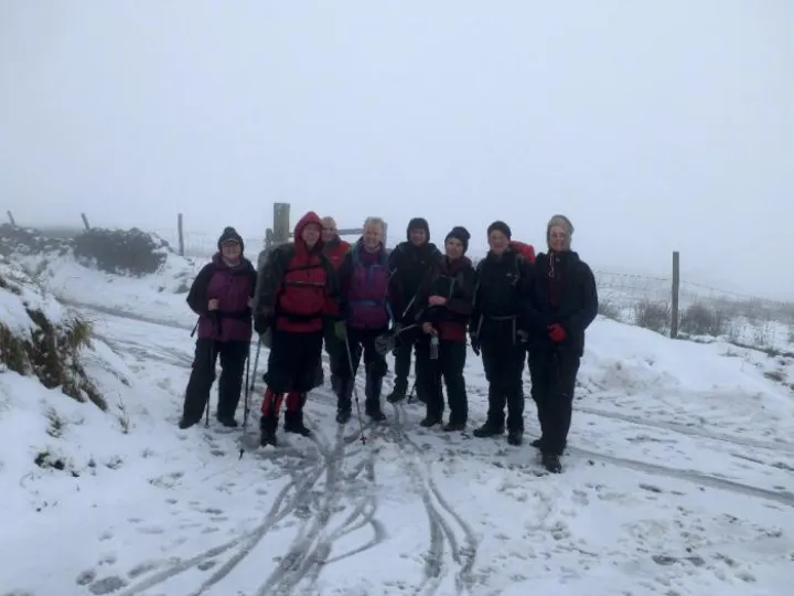 ARS Walk