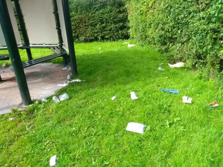 Litter 2