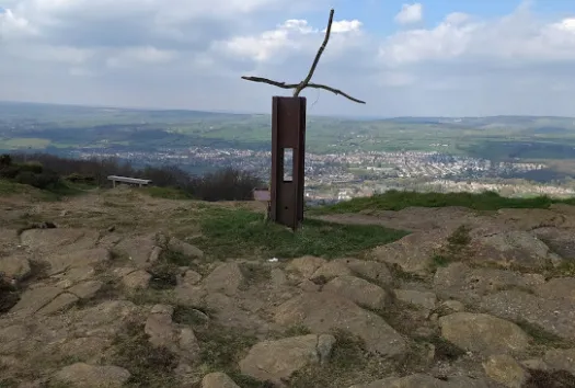 Chevin cross 2020