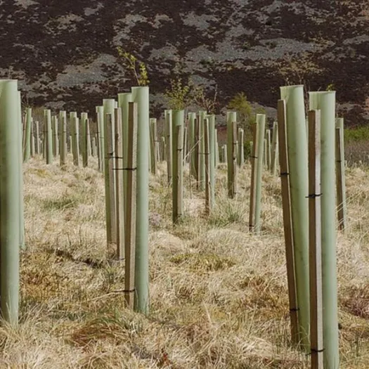 tree-tubes_geograph-1859866-Jim-Barton_CC-BY-SA-20