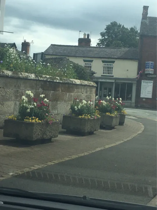 adas flowers