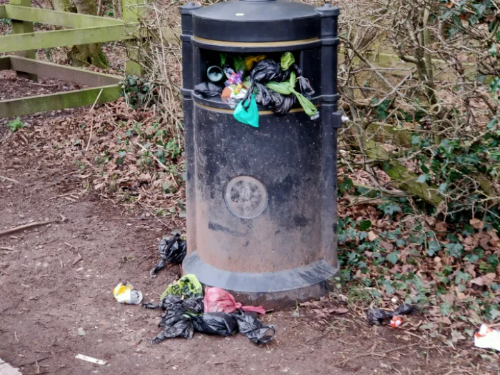 Litter bin Feb 2021 IMG20210217160018