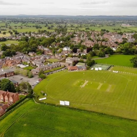 Cricket Pitch