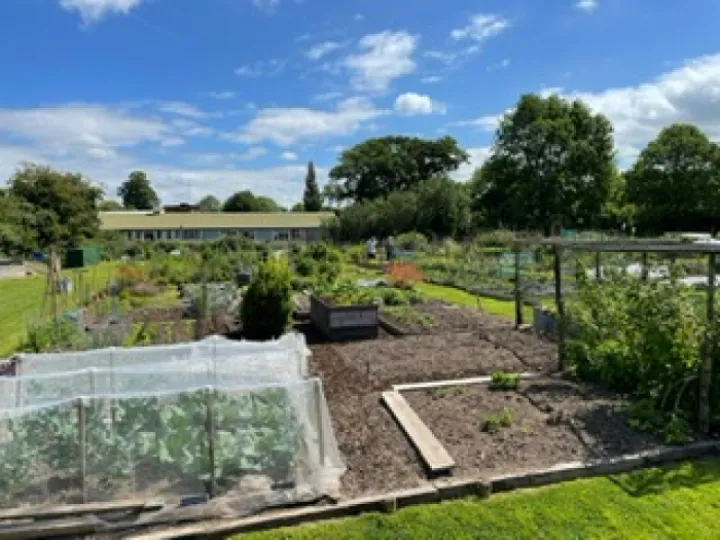 Allotment2