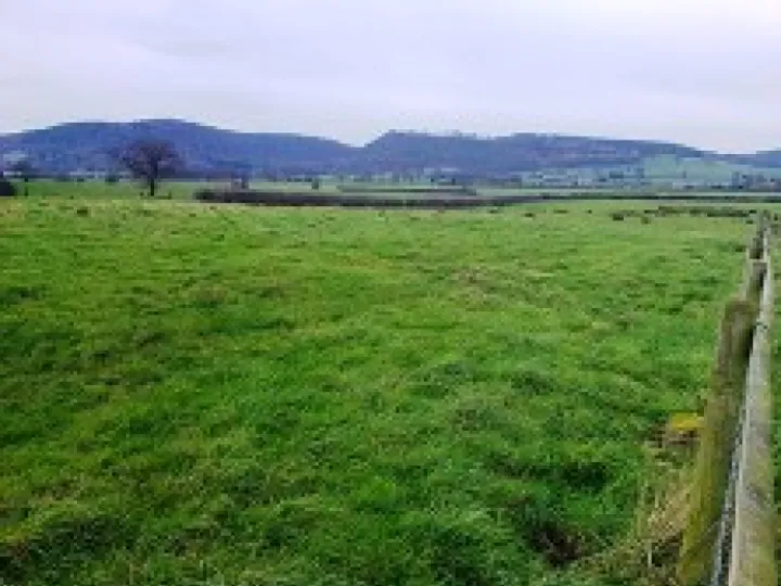 Bulkeley & Ridley Countryside 3