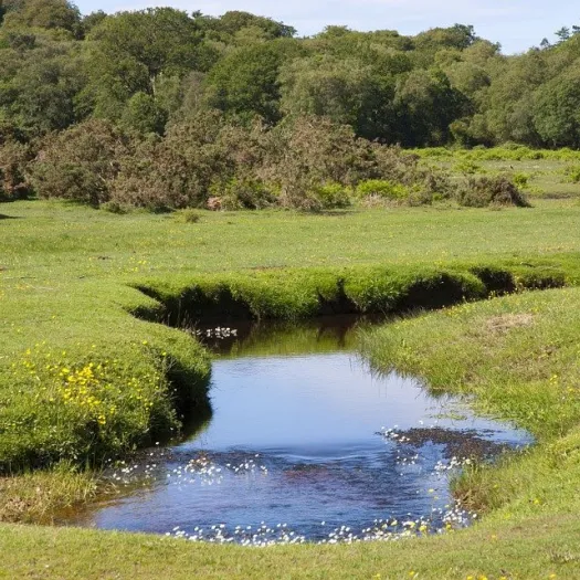 defra