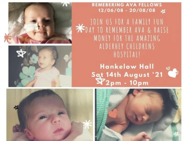 Ava Fellows